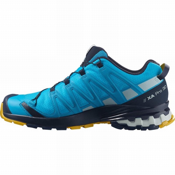 Blue Salomon XA PRO 3D V8 GORE-TEX Men's Hiking Shoes | AE-965XKUN