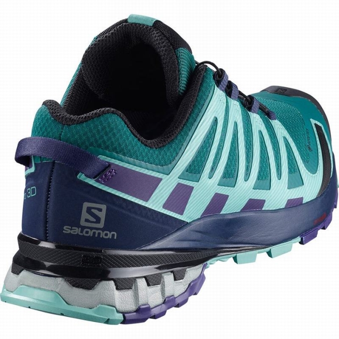 Blue Salomon XA PRO 3D V8 GORE-TEX Women's Hiking Shoes | AE-529FNGP