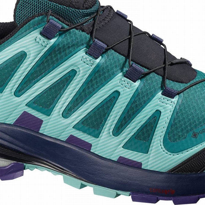 Blue Salomon XA PRO 3D V8 GORE-TEX Women's Hiking Shoes | AE-529FNGP