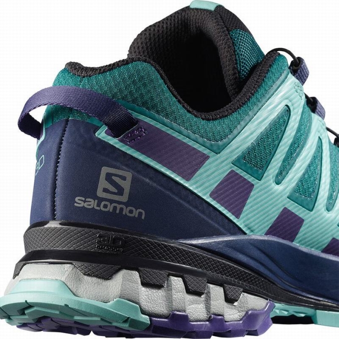 Blue Salomon XA PRO 3D V8 GORE-TEX Women's Hiking Shoes | AE-529FNGP