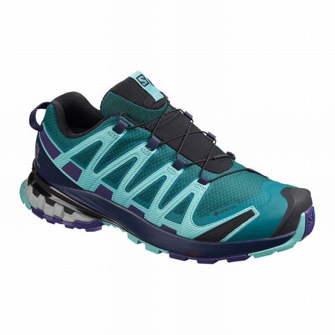 Blue Salomon XA PRO 3D V8 GORE-TEX Women\'s Hiking Shoes | AE-529FNGP