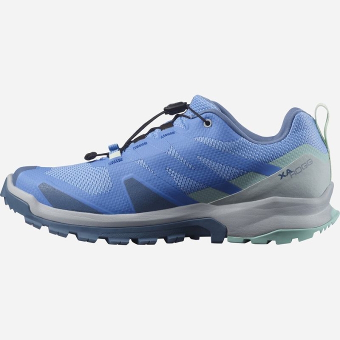 Blue Salomon XA ROGG GTX W Women's Trail Running Shoes | AE-087CSXP