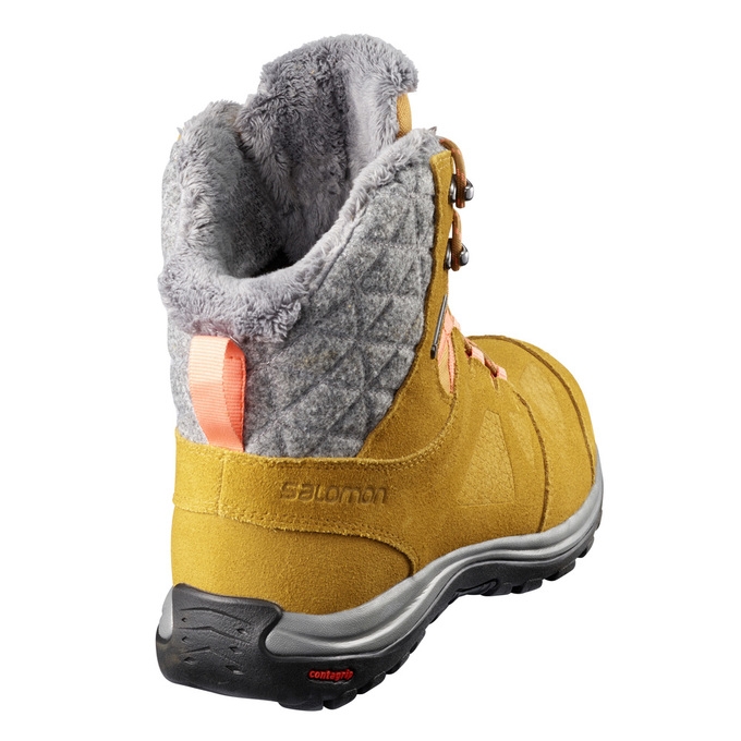 Brown Salomon ELLIPSE GTX Men's Winter Boots | AE-953OVYU