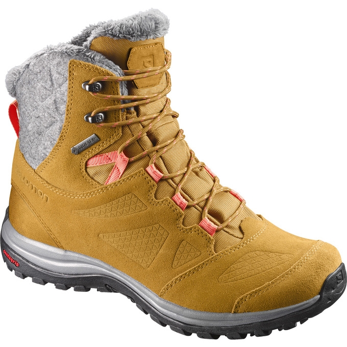 Brown Salomon ELLIPSE GTX Men\'s Winter Boots | AE-953OVYU