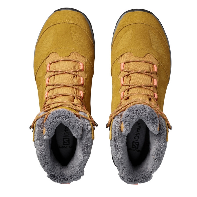 Brown Salomon ELLIPSE GTX Women's Winter Boots | AE-721DUJA