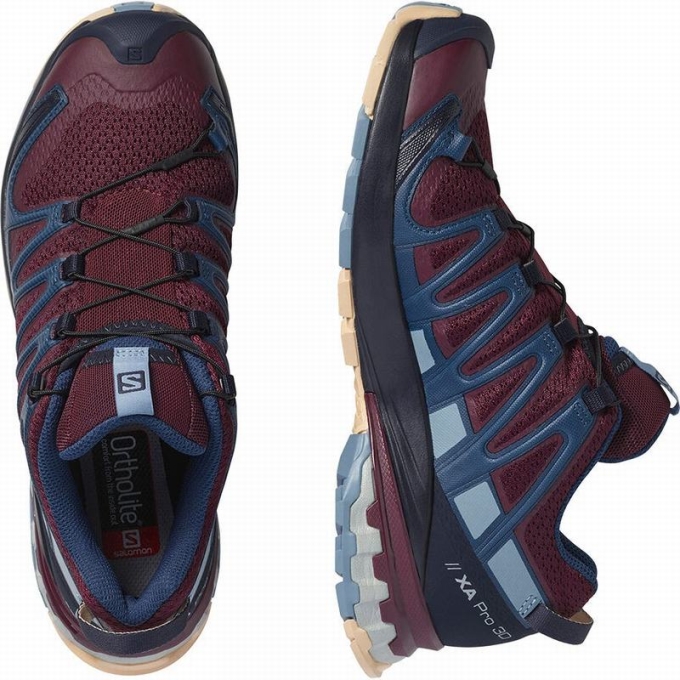 Burgundy / Blue Salomon XA PRO 3D V8 Women's Hiking Shoes | AE-853ZMVO