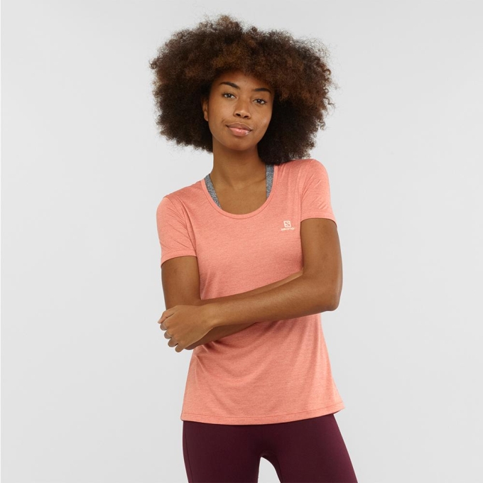 Coral Salomon AGILE SS W Women's T Shirts | AE-763LNBW