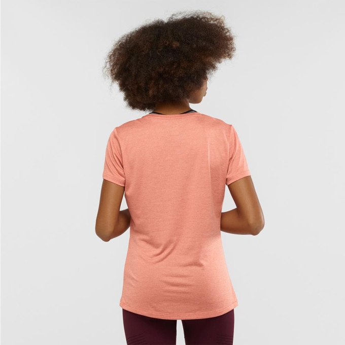 Coral Salomon AGILE SS W Women's T Shirts | AE-763LNBW