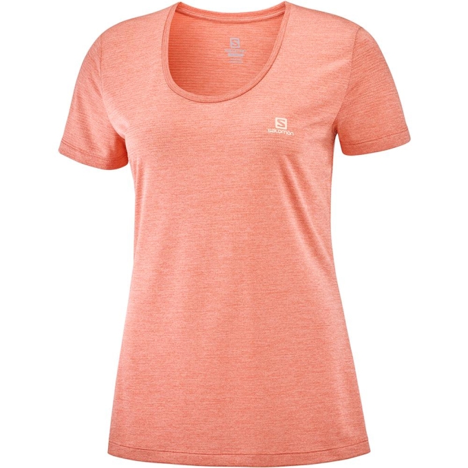 Coral Salomon AGILE SS W Women\'s T Shirts | AE-763LNBW