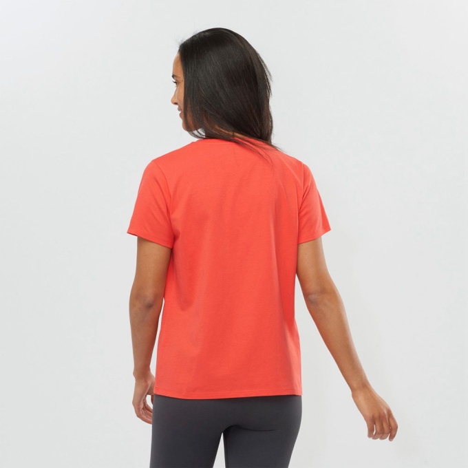 Coral Salomon OUTLIFE SMALL LOGO SS W Short Sleeve Women's T Shirts | AE-346KFBM