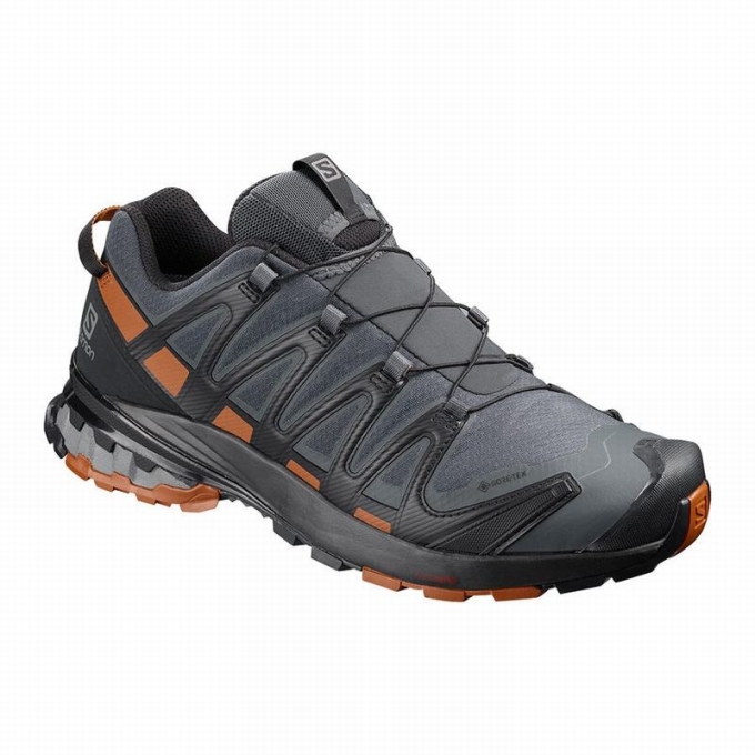 Dark Blue / Black Salomon XA PRO 3D V8 GORE-TEX Men\'s Hiking Shoes | AE-351WLAY