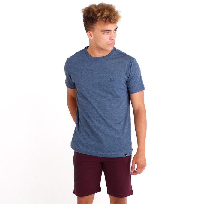 Dark Denim Salomon EXPLORER SS M Men's T Shirts | AE-103XOVE