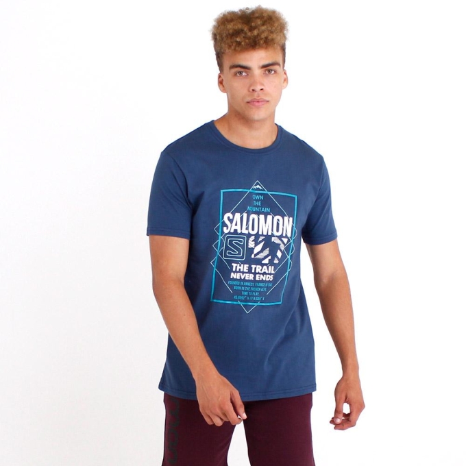 Dark Denim Salomon FORT SS M Men's T Shirts | AE-371TOGV