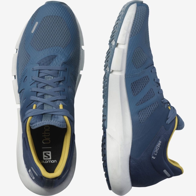 Dark Denim Salomon PREDICT 2 Men's Running Shoes | AE-851YWIO