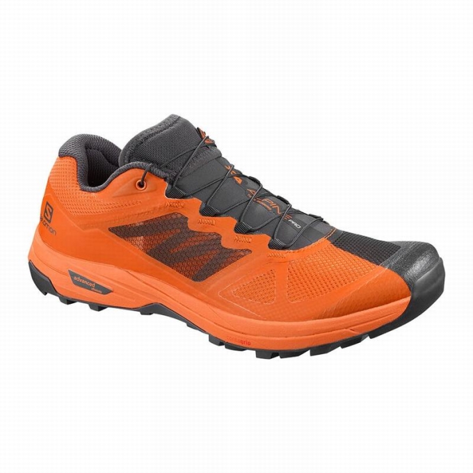 Dark Grey / Orange Salomon X ALPINE /PRO Men\'s Hiking Shoes | AE-903XCBP