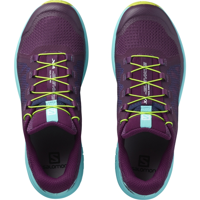 Deep Purple / Blue Salomon XA ELEVATE W Women's Trail Running Shoes | AE-073UMKO