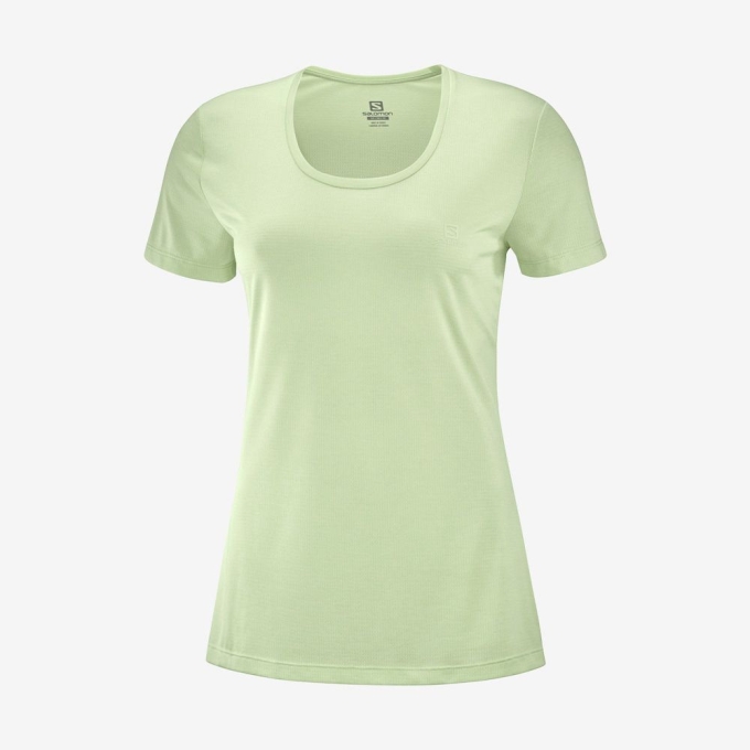 Green Salomon AGILE Road Running Short Sleeve Women's T Shirts | AE-421FKQX