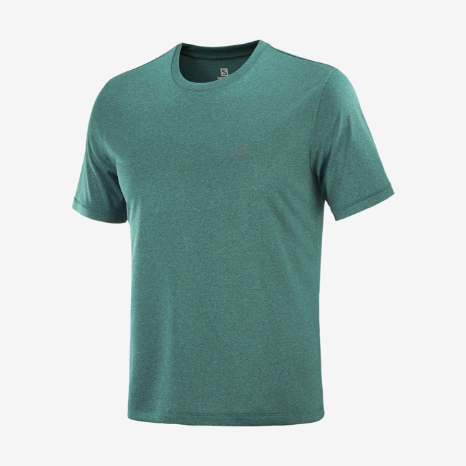 Green Salomon EXPLORE M Short Sleeve Men's T Shirts | AE-798QSRE