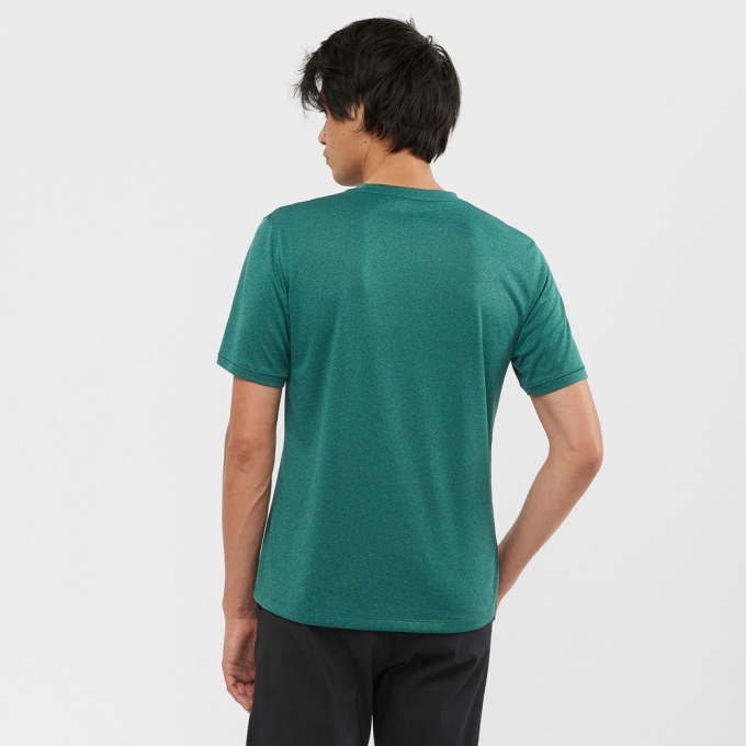 Green Salomon EXPLORE M Short Sleeve Men's T Shirts | AE-798QSRE