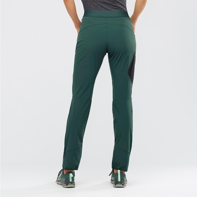 Green Salomon WAYFARER ALPINE W Women's Pants | AE-456FDKW