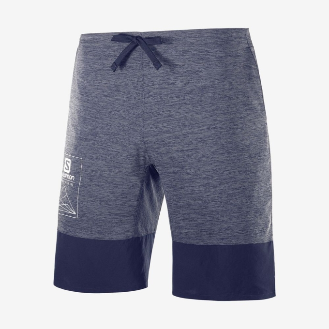 Grey / Navy Salomon XA TRAINING Men's Shorts | AE-654ICWY