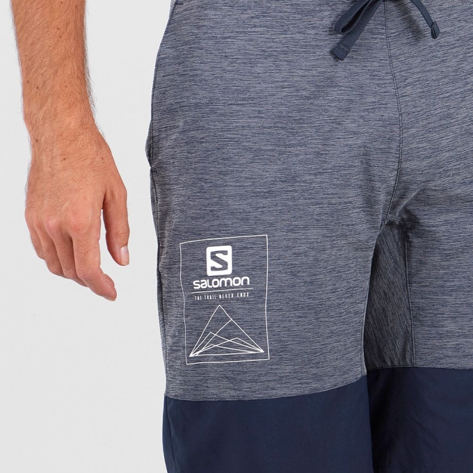 Grey / Navy Salomon XA TRAINING Men's Shorts | AE-654ICWY