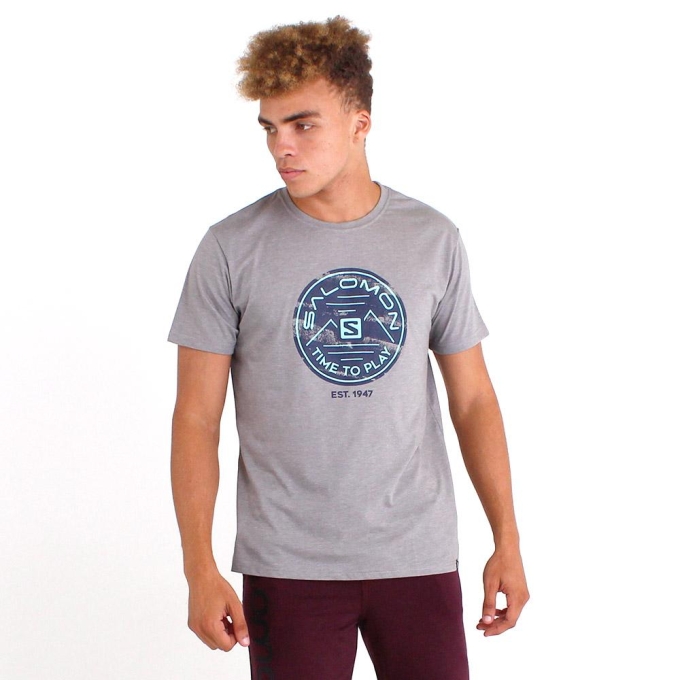 Grey Salomon FIRE FLY SS M Men's T Shirts | AE-510XVPS