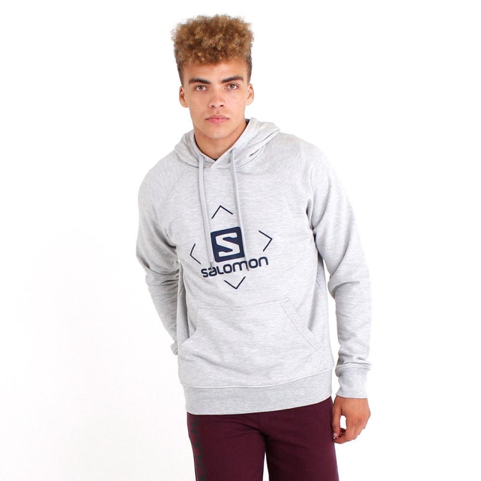 Grey Salomon FLY AWAY M Men's Sweatshirt | AE-560FZMW