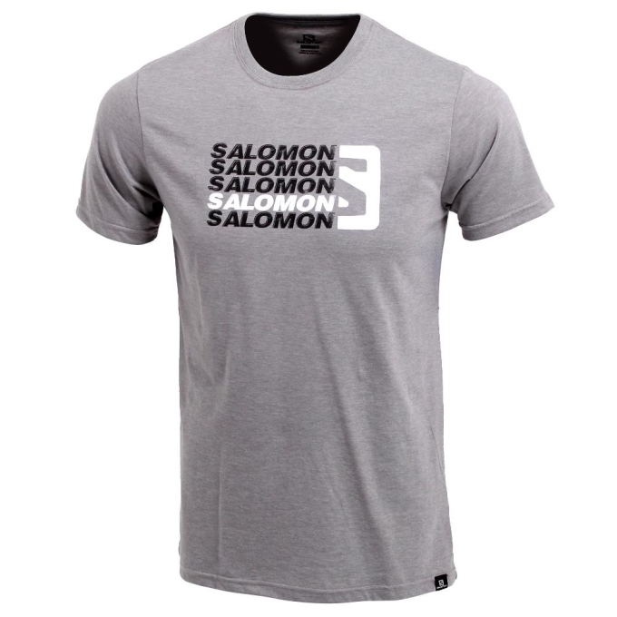 Grey Salomon STANDOUT SS M Men\'s T Shirts | AE-701GVNC