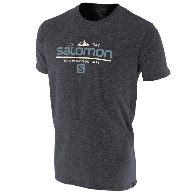 Grey Salomon VISIONARY SS M Men\'s T Shirts | AE-078TGWI