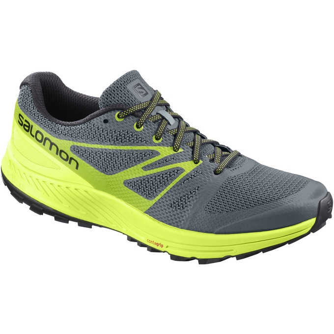 Grey / Yellow Salomon SENSE ESE Men\'s Trail Running Shoes | AE-689VLSZ