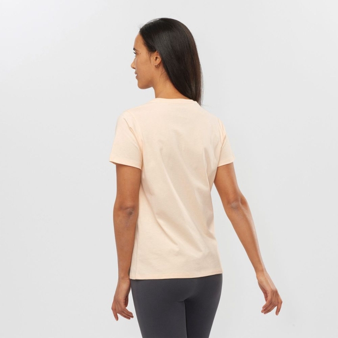 Khaki Salomon OUTLIFE SMALL LOGO SS W Short Sleeve Women's T Shirts | AE-462QHZN