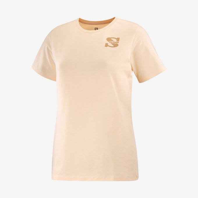 Khaki Salomon OUTLIFE SMALL LOGO SS W Short Sleeve Women's T Shirts | AE-462QHZN