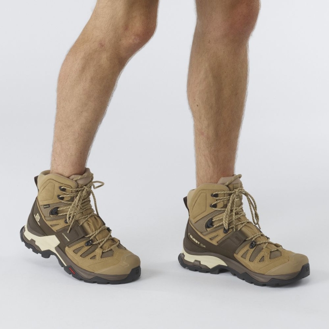 Khaki Salomon QUEST 4 GORE-TEX Men's Hiking Boots | AE-317KWCU