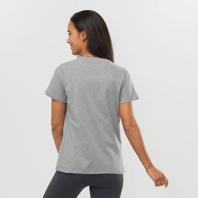 Mid Grey Salomon OUTLIFE BIG LOGO Short Sleeve Women's T Shirts | AE-537QXMN