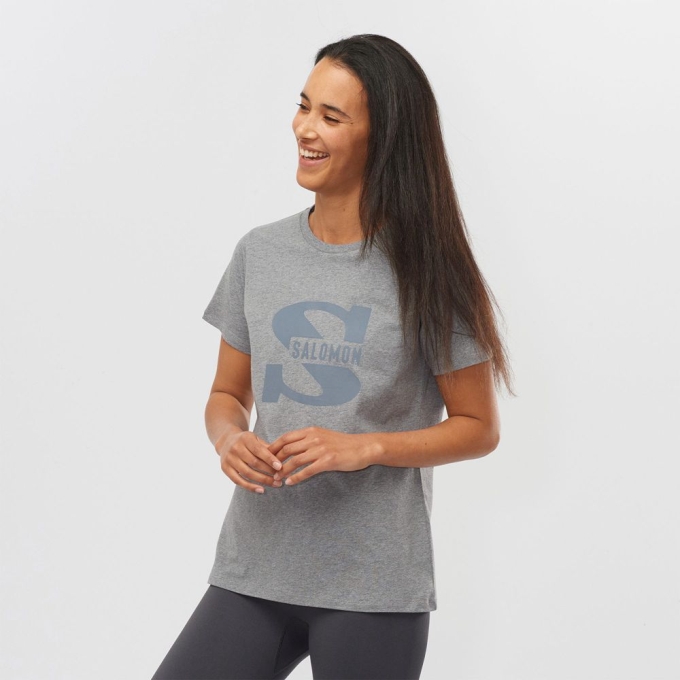 Mid Grey Salomon OUTLIFE BIG LOGO Short Sleeve Women's T Shirts | AE-537QXMN