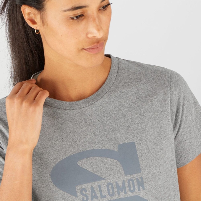 Mid Grey Salomon OUTLIFE BIG LOGO Short Sleeve Women's T Shirts | AE-537QXMN