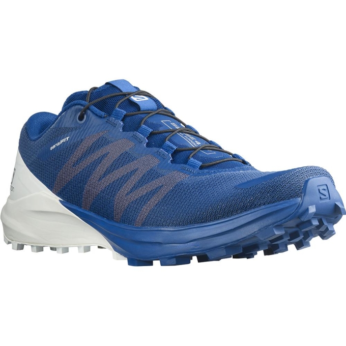 Navy Salomon SENSE PRO 4 Men's Road Running Shoes | AE-531PDZW