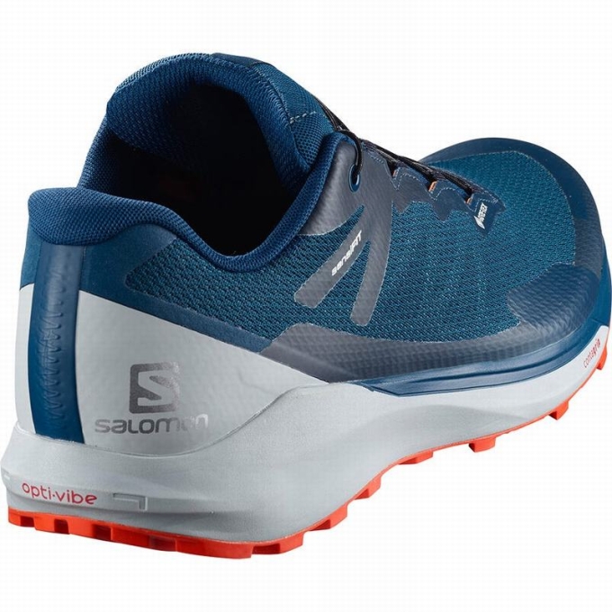 Navy Salomon SENSE RIDE 3 GTX INVIS. FIT Men's Trail Running Shoes | AE-132QLSW