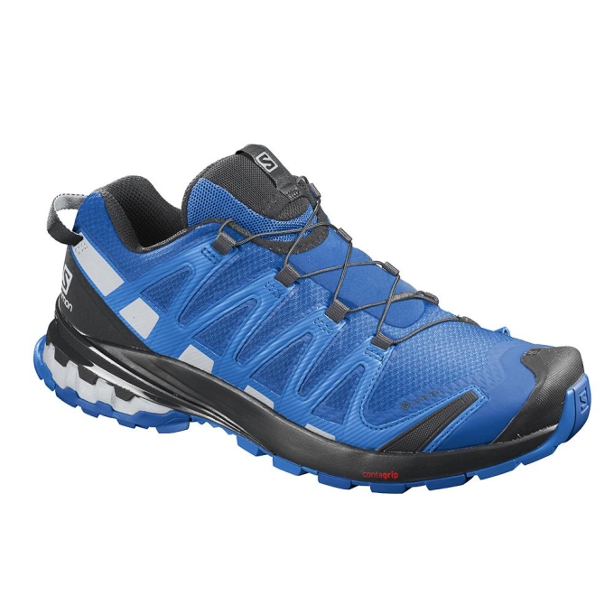 Navy Salomon XA PRO 3D V8 GORE-TEX Men's Trail Running Shoes | AE-350MVTK