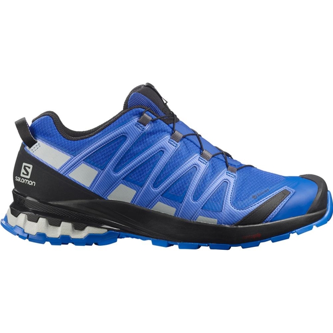 Navy Salomon XA PRO 3D V8 GORE-TEX Men's Trail Running Shoes | AE-350MVTK