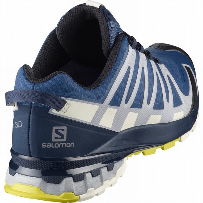 Navy Salomon XA PRO 3D V8 GORE-TEX Men's Trail Running Shoes | AE-841YTBM