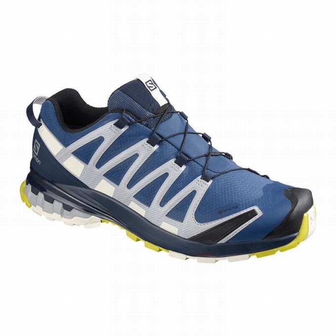 Navy Salomon XA PRO 3D V8 GORE-TEX Men\'s Trail Running Shoes | AE-841YTBM