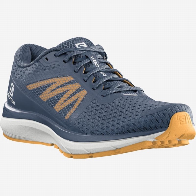 Navy / White Salomon VECTUR Men's Running Shoes | AE-530ITLW