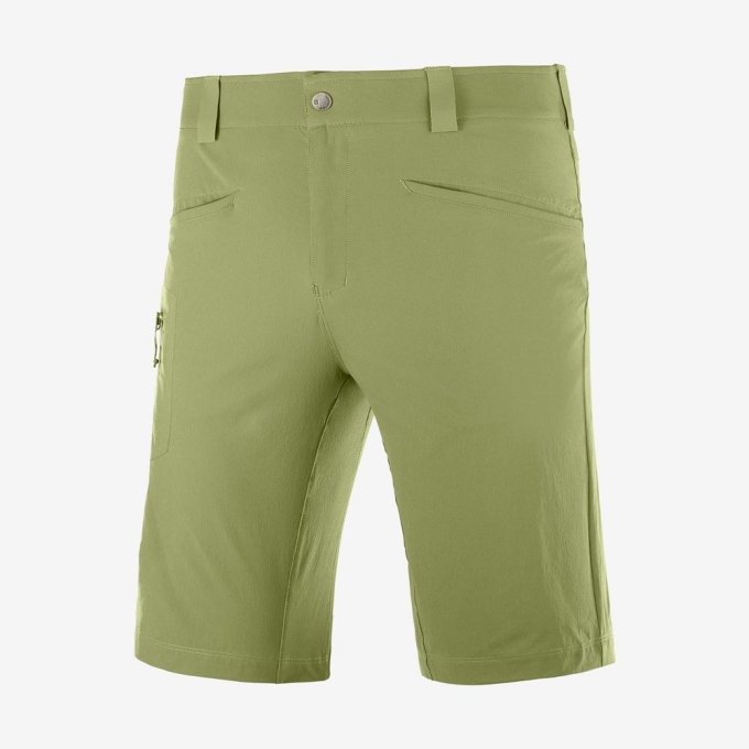 Olive Green Salomon WAYFARER ALL SEASON STRAIGHT M Men's Shorts | AE-540QSRW