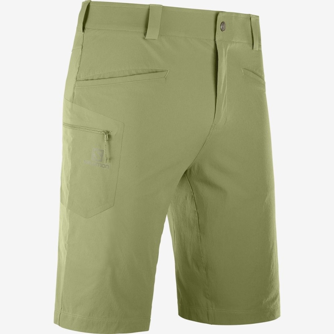 Olive Green Salomon WAYFARER ALL SEASON STRAIGHT M Men's Shorts | AE-540QSRW