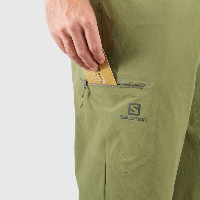 Olive Green Salomon WAYFARER ALL SEASON STRAIGHT M Men's Shorts | AE-540QSRW