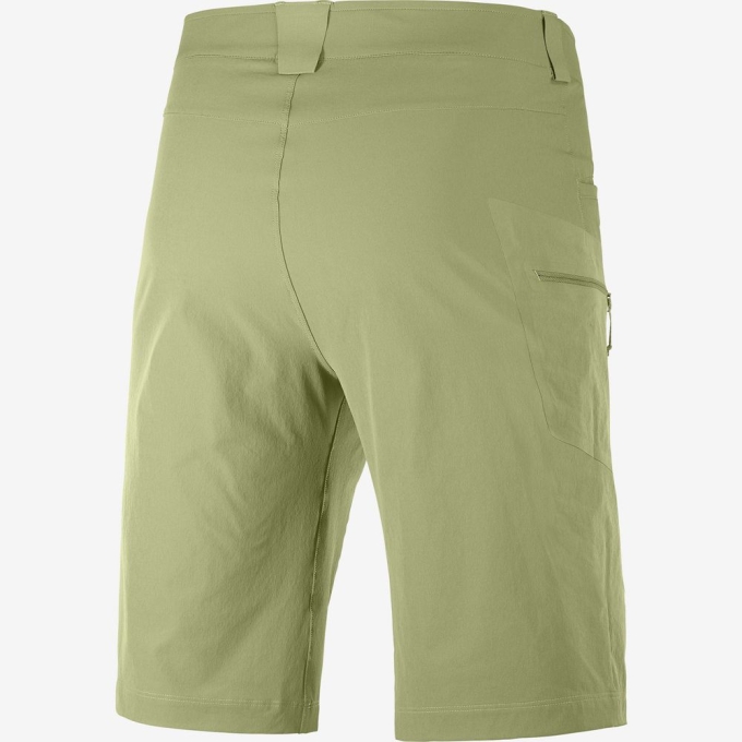 Olive Green Salomon WAYFARER ALL SEASON STRAIGHT M Men's Shorts | AE-540QSRW