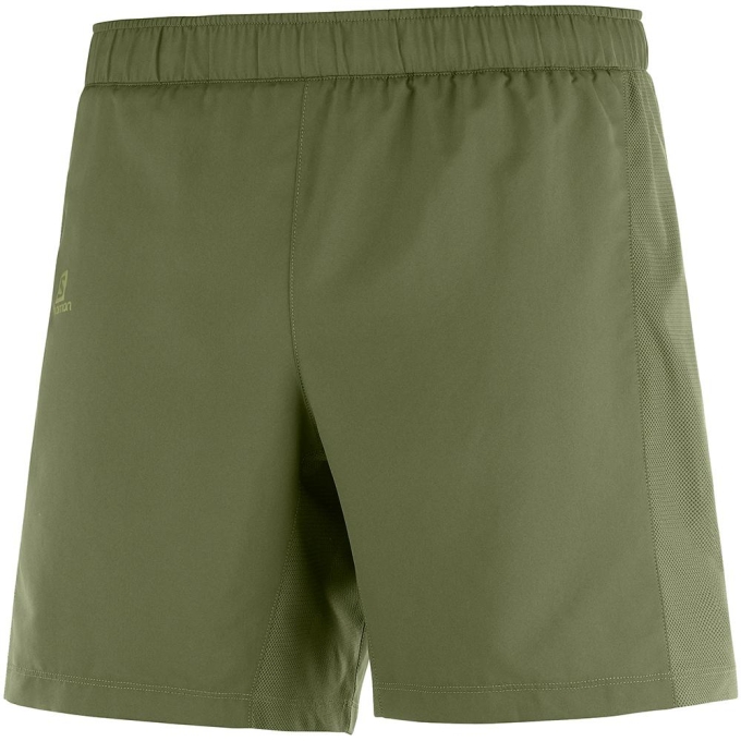 Olive Salomon AGILE 2IN1 M Men\'s Shorts | AE-209RSIV