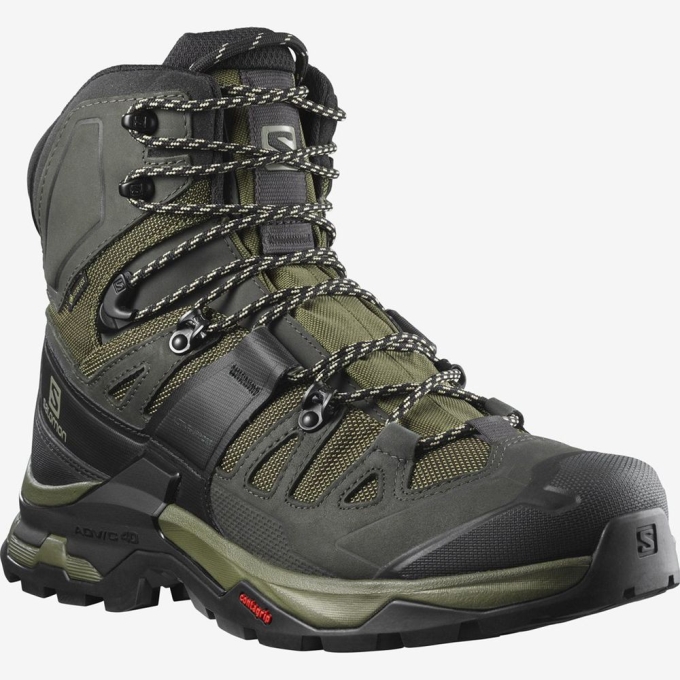 Olive Salomon QUEST 4 GTX Men's Hiking Shoes | AE-834WFKC